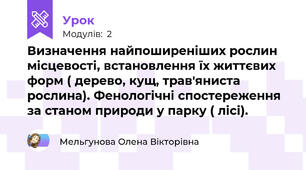 Визначення найпоширеніших рослин місцевості, встановлення їх життєвих форм ( дерево, кущ, трав'яниста рослина). Фенологічні спостереження за станом природи у парку ( лісі).