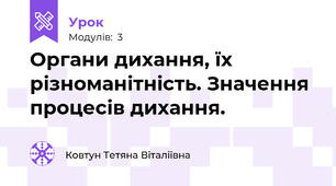 Органи дихання, їх різноманітність. Значення процесів дихання.