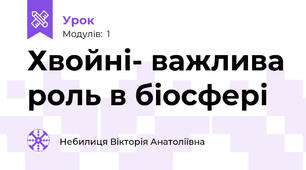 Хвойні- важлива роль в біосфері