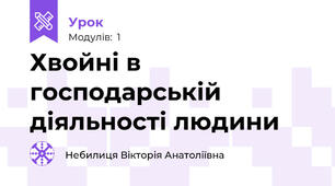 Хвойні в господарській діяльності людини