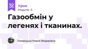 Газообмін у  легенях і тканинах.