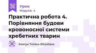 Практична робота 4. Порівняння будови кровоносної системи хребетних тварин