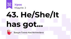 43. He/She/It has got...