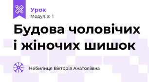 Будова чоловічих і жіночих шишок