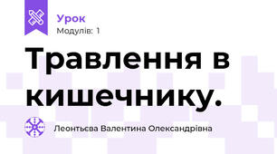 Травлення в кишечнику.