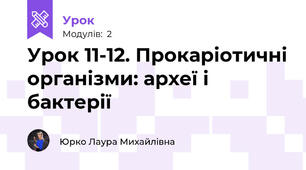 Урок 11-12. Прокаріотичні організми: археї і бактерії