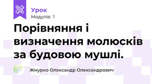 Порівняння і визначення молюсків за будовою мушлі.