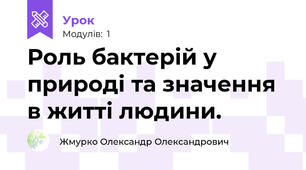 Роль бактерій у природі та значення в житті людини.