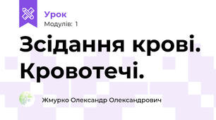 Зсідання крові. Кровотечі.
