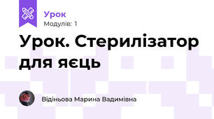 Урок. Стерилізатор для яєць