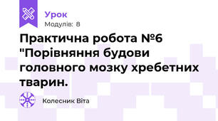 Практична робота №6 "Порівняння будови головного мозку хребетних тварин.