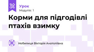 Корми для підгодівлі птахів взимку