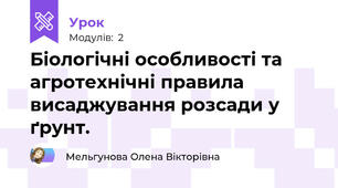 Біологічні особливості та агротехнічні правила висаджування розсади у ґрунт.