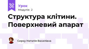 Структура клітини. Поверхневий апарат