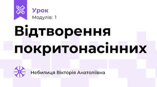 Відтворення покритонасінних