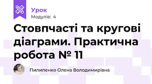 Стовпчасті та кругові діаграми. Практична робота № 11 