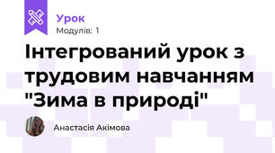 Інтегрований урок з трудовим навчанням "Зима в природі"