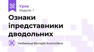 Ознаки іпредставники дводольних
