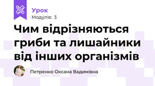 Чим відрізняються гриби та лишайники від інших організмів