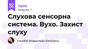 Слухова сенсорна система. Вухо. Захист слуху