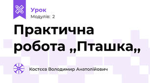 Практична робота ,,Пташка,,