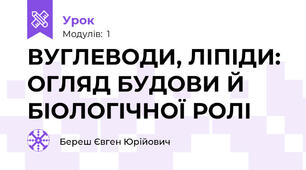 ВУГЛЕВОДИ, ЛІПІДИ: ОГЛЯД БУДОВИ Й БІОЛОГІЧНОЇ РОЛІ