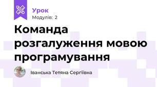  Команда розгалуження мовою програмування