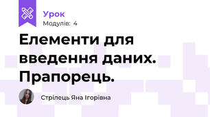 Елементи для введення даних. Прапорець.