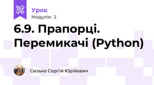 6.9. Прапорці. Перемикачі (Python)