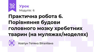 Практична робота 6. Порівняння будови головного мозку хребетних тварин (на муляжах/моделях)