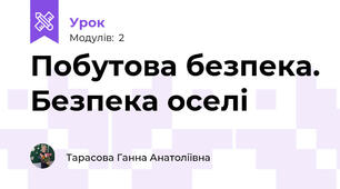 Побутова безпека. Безпека оселі