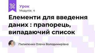 Елементи для введення даних : прапорець, випадаючий список