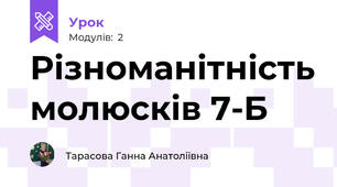 Різноманітність молюсків 7-Б