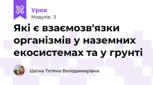 Які є взаємозв'язки організмів у наземних екосистемах та у грунті