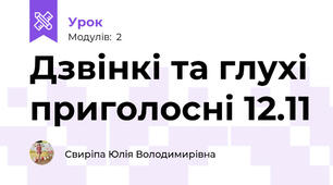 Дзвінкі та глухі приголосні 12.11