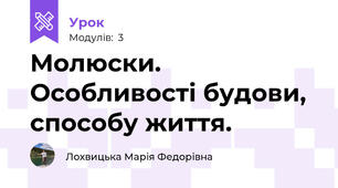 Молюски. Особливості будови, способу життя.