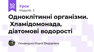 Одноклітинні організми.  Хламідомонада, діатомові водорості