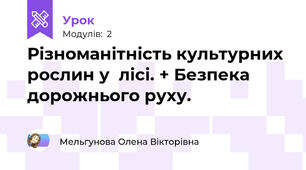 Різноманітність культурних рослин у  лісі. + Безпека дорожнього руху.
