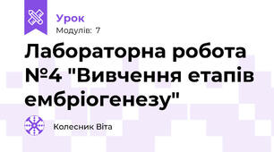 Лабораторна робота №4 "Вивчення етапів ембріогенезу"