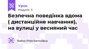 Безпечна поведінка вдома ( дистанційне навчання), на вулиці у весняний час