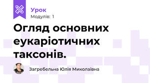 Огляд основних еукаріотичних таксонів.