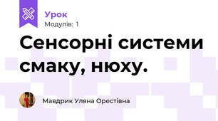Сенсорні системи смаку, нюху.