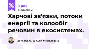 Харчові зв'язки, потоки енергії та колообіг речовин в екосистемах.