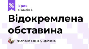 Відокремлена обставина