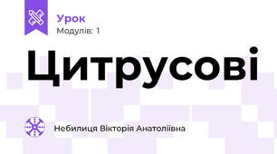Цитрусові