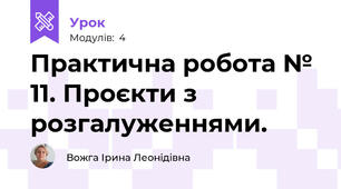Практична робота № 11. Проєкти з розгалуженнями. 