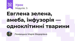 Евглена зелена, амеба, інфузорія — одноклітинні тварини 