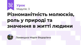 Різноманітність молюсків, роль у природі та значення в житті людини