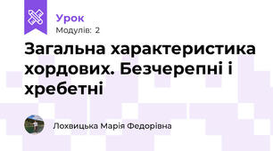 Загальна характеристика хордових. Безчерепні і хребетні