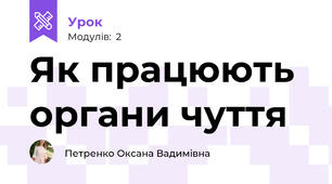Як працюють органи чуття